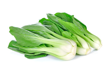Bok choy (chinese cabbage) isolated on white