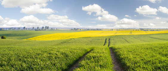 Wiosna na polach uprawnych w Polsce