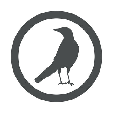 Icono plano cuervo en circulo color gris