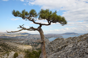 View towards Sudak from Sokol (Hawk) Mountain, Crimea, Russia.
