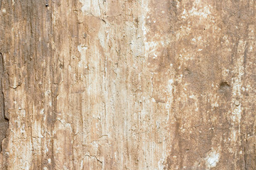 white concrete wall texture