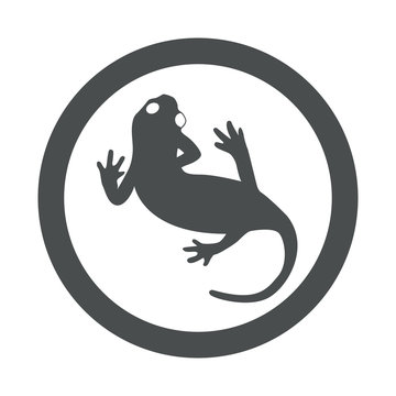 recommend clip art: Icono plano iguana en circulo color gris