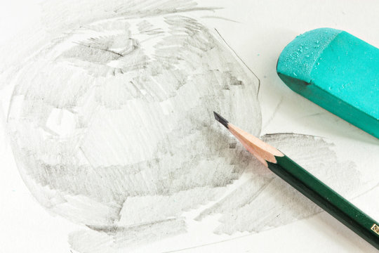 Drawing of apple by graphite pencil with pencil and eraser