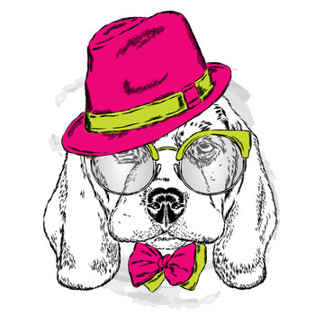 Cute puppy wearing a hat , sunglasses and a tie . Vector . portrait of a dog for postcards, prints on clothes or accessories .
