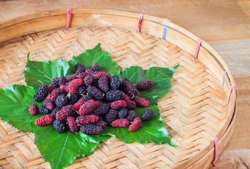 Mulberry in threshing basket on wooden background