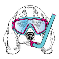 Cute puppy wearing a mask for diving and snorkel . Vector illustration. portrait of a dog for postcards, prints on clothes or accessories .
