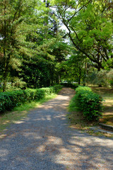 緑で溢れる公園の様子
