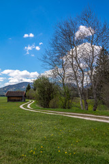 Wanderweg über eine Almwiese in den Alpen bei Wallgau
