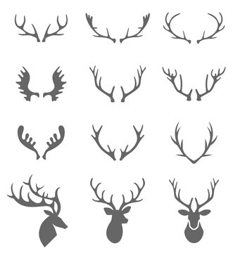 Hand Drawn Deer Antlers Vectors.