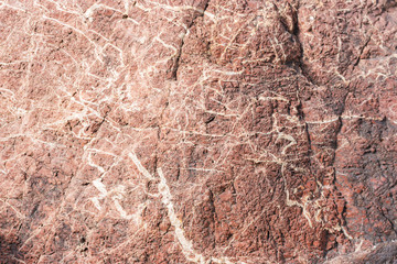 Fototapeta na wymiar Rock surface texture for background.