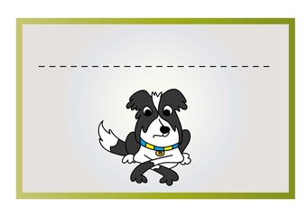 border collie © monikakosz