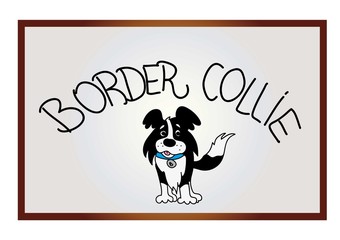 border collie