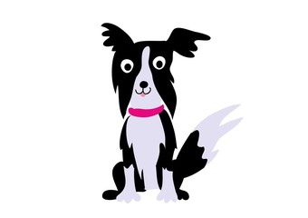 border collie