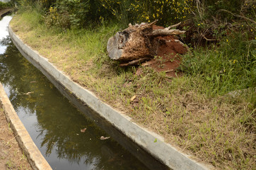 Vallée de Serra d’Agua : randonnée le long des levadas (Madère)
