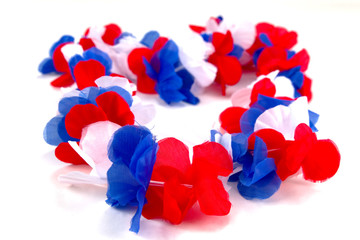 Blumenkette - Frankreich 