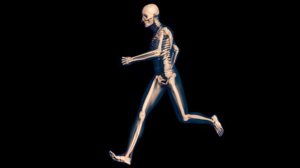 Fototapeta na wymiar Ankle Pain in Human Body Transparent Design