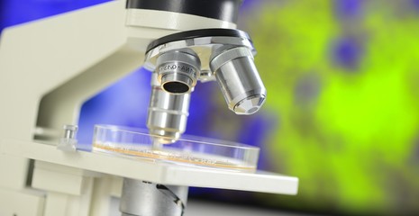 Mikroskop und Foto auf Monitor