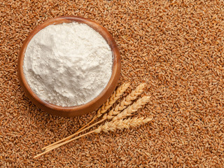Flour in bowl and grains of wheat.