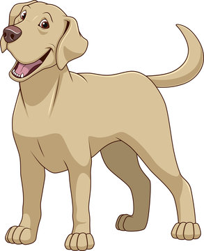 Labrador Dog Cartoon Images – Browse 14,997 Stock Photos, Vectors, and Video  | Adobe Stock