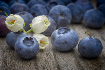 blueberry flowers and fruits (Vaccinium corymbosum) on wooden ta