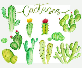 Watercolor cactus set
