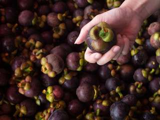mangosteen Thailand tropical fruit