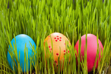 Easter eggs in the grass