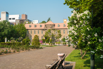 札幌大通公園ライラックまつり