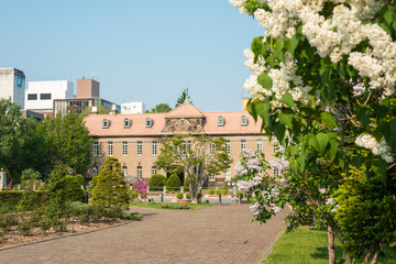 Naklejka premium 札幌大通公園