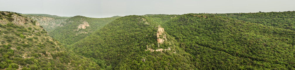 Monfort casrle in the forest panorama