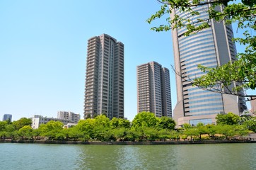 Fototapeta na wymiar 大阪　大川沿いの風景