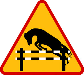 Zawody konne © fotodrobik