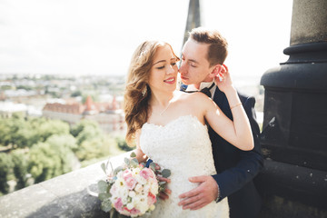 Naklejka premium Stylish beautiful wedding couple kissing and hugging on background panoramic view of the old town