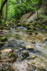 Rivière de l'Hérisson