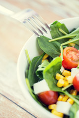 close up of vegetable salad bowl