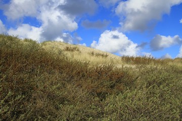 THE BEACH OF THE TOUQUET 