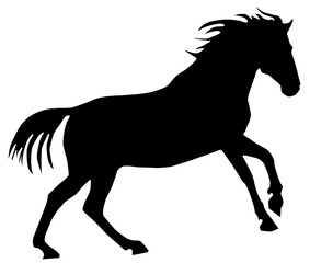 Silhouette of a galloping horse on a white background  