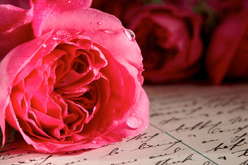 Rose on top of handwritten letters and postcard