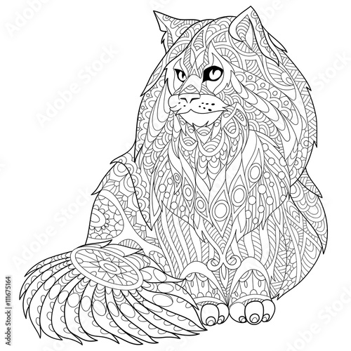 Download "Zentangle stylized cartoon maine coon (american longhair ...