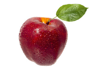 Tasty, ripe, red, juicy apple in drops of water with a green lea