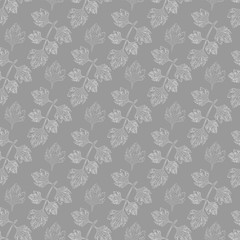 Graceful white branches and leaves of fresh parsley on a gray background pattern