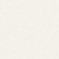 Vector Seamless Texture of white cardboard. 
