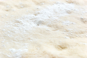 The texture of raw dough with flour