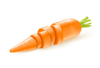 Sliced carrot, vector