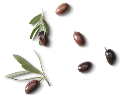 Olives with leafs