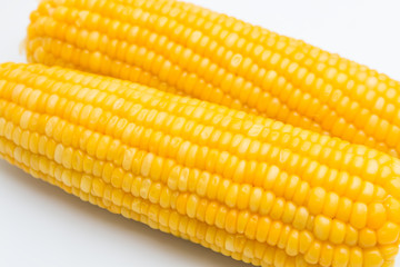 Corn on a white background.