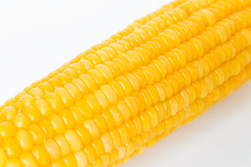 Corn on a white background.