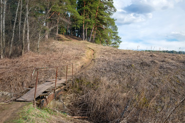 The path in the forest through the old iron bridge 