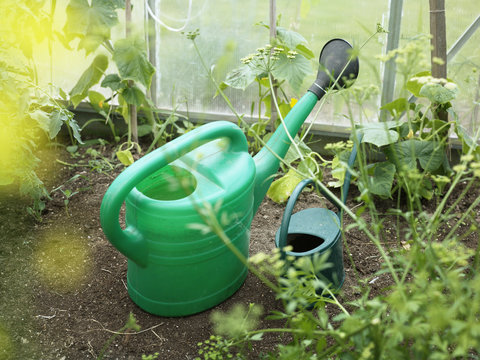 Water jugs in a greenhouse, Sweden.