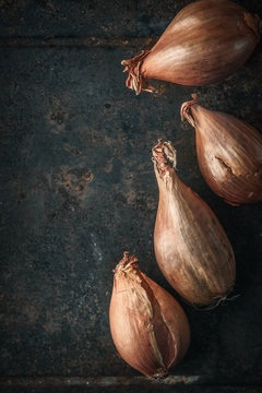 Shallots  on the  old metal background  vertical